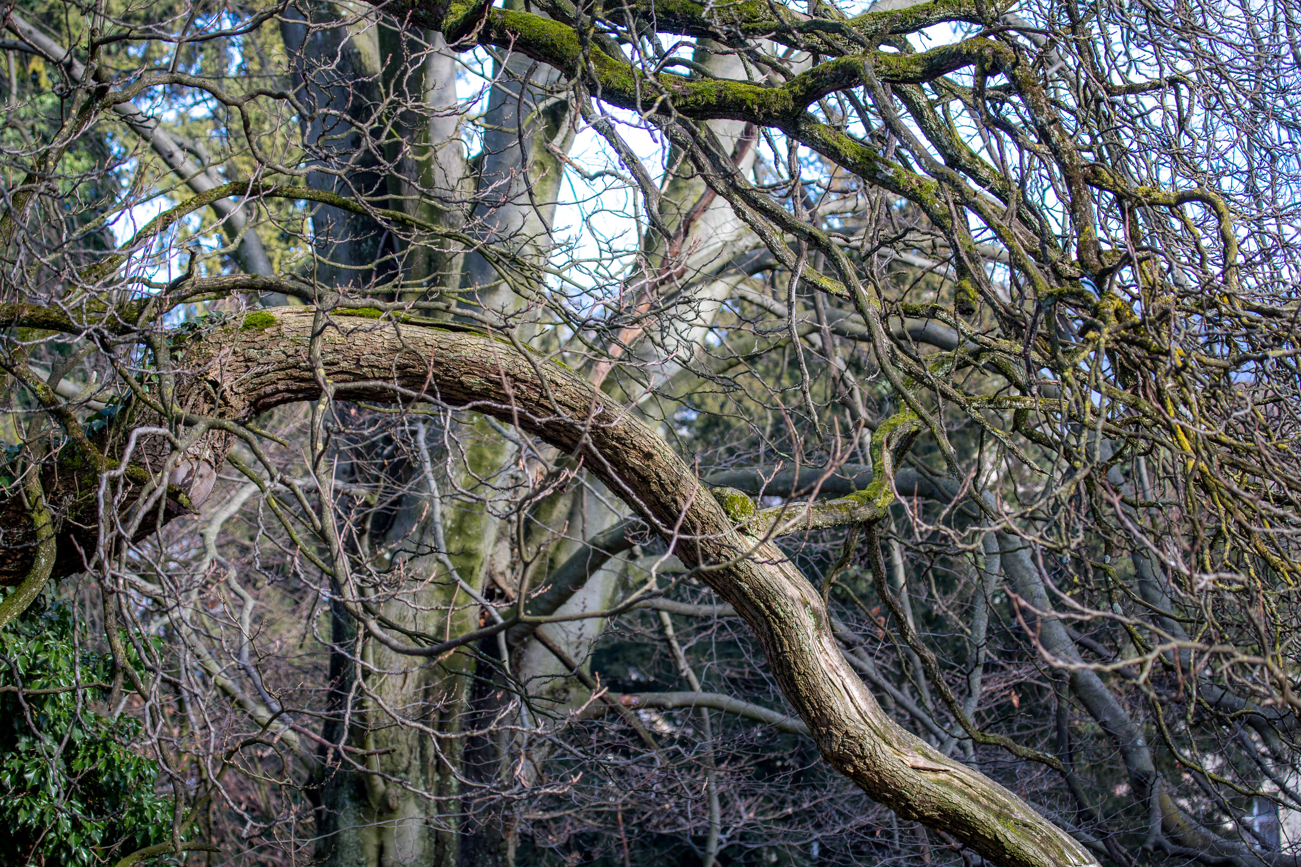 20150228152020 RD 85374